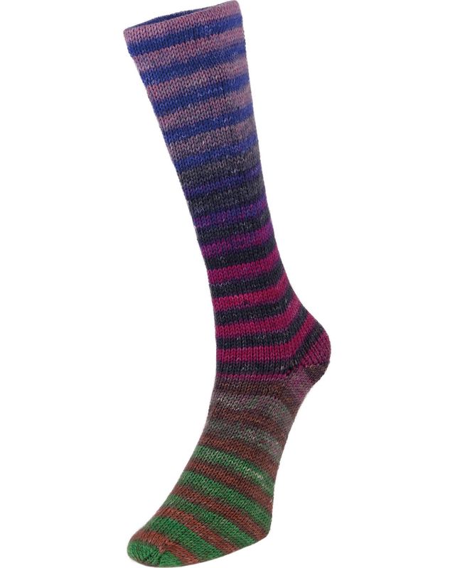 885204 Solvej Nordlys