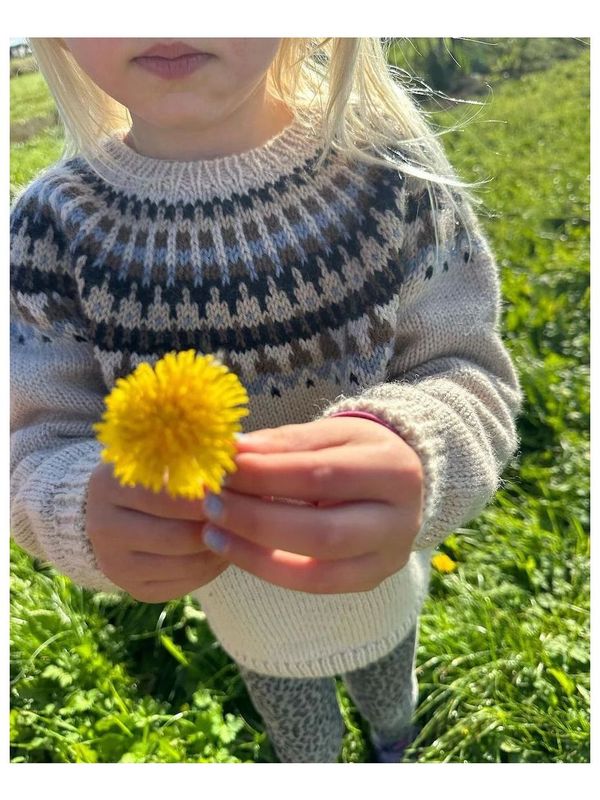 Celeste sweater Junior